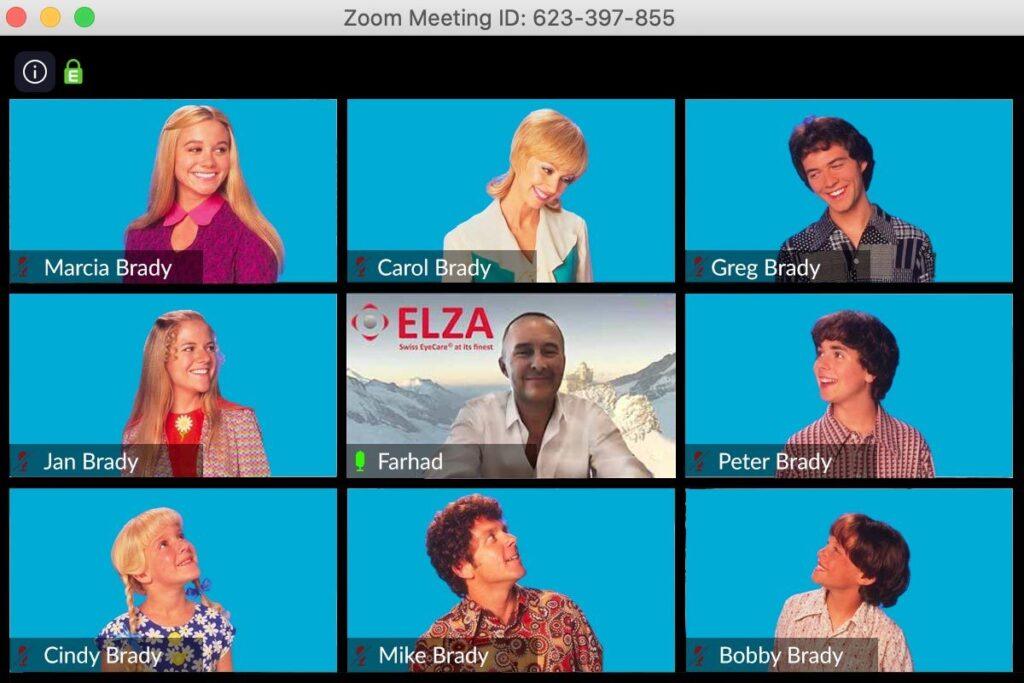 Education without Borders - Farhad Hafezi's COVID-19 Education - Zoom Brady Bunch Parody