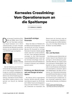 Klicken Sie auf das Bild, um den Artikel zu lesen